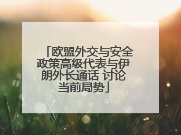 欧盟外交与安全政策高级代表与伊朗外长通话 讨论当前局势