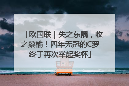 欧国联｜失之东隅，收之桑榆！四年无冠的C罗终于再次举起奖杯