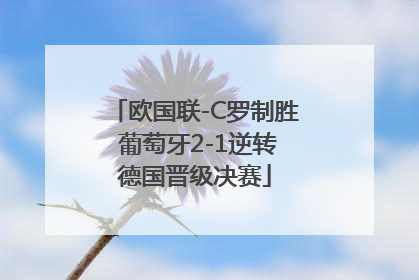 欧国联-C罗制胜 葡萄牙2-1逆转德国晋级决赛