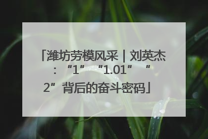 潍坊劳模风采｜刘英杰：“1”“1.01”“2”背后的奋斗密码