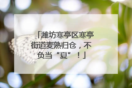 潍坊寒亭区寒亭街道麦熟归仓，不负当“夏”！