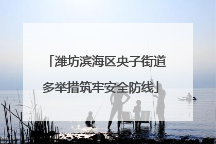潍坊滨海区央子街道多举措筑牢安全防线