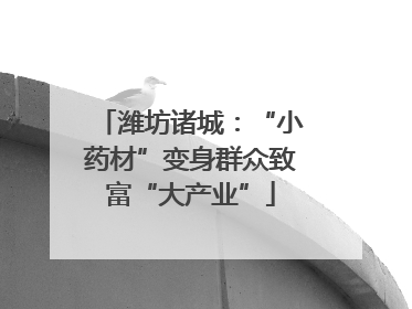 潍坊诸城：“小药材”变身群众致富“大产业”