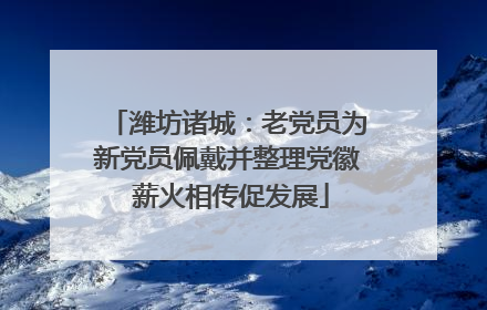 潍坊诸城：老党员为新党员佩戴并整理党徽 薪火相传促发展