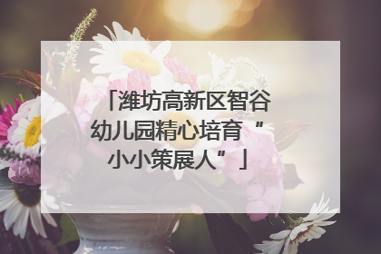 潍坊高新区智谷幼儿园精心培育“小小策展人”