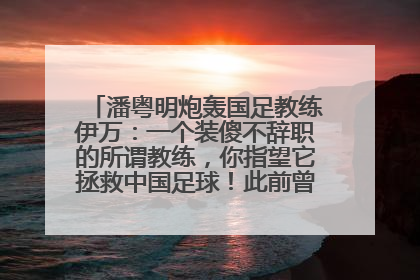 潘粤明炮轰国足教练伊万：一个装傻不辞职的所谓教练，你指望它拯救中国足球！此前曾多次发文评价国足