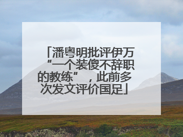 潘粤明批评伊万“一个装傻不辞职的教练”，此前多次发文评价国足