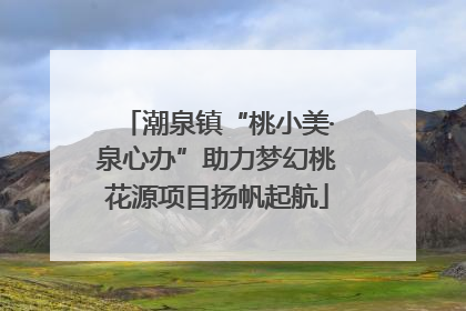 潮泉镇“桃小美·泉心办”助力梦幻桃花源项目扬帆起航