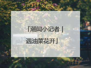 潮闻小记者｜遇油菜花开