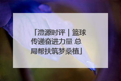 澧源时评｜篮球传递奋进力量 总局帮扶筑梦桑植