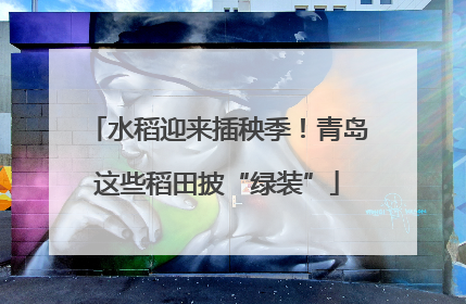 水稻迎来插秧季！青岛这些稻田披“绿装”