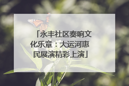 永丰社区奏响文化乐章：大运河惠民展演精彩上演
