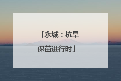 永城：抗旱保苗进行时