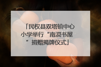 民权县双塔镇中心小学举行“南溟书屋”捐赠揭牌仪式