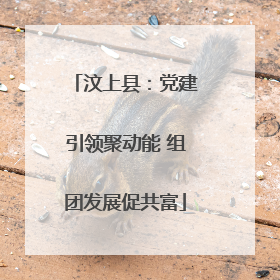 汶上县：党建引领聚动能 组团发展促共富