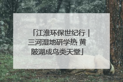 江淮环保世纪行｜三河湿地研学热 黄陂湖成鸟类天堂