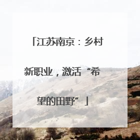 江苏南京：乡村新职业，激活“希望的田野”