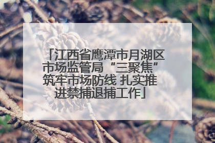 江西省鹰潭市月湖区市场监管局“三聚焦”筑牢市场防线 扎实推进禁捕退捕工作