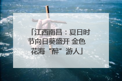 江西南昌：夏日时节向日葵盛开 金色花海“醉”游人