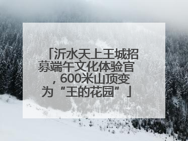 沂水天上王城招募端午文化体验官，600米山顶变为“王的花园”
