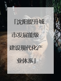 沈阳提升城市发展能级 建设现代化产业体系