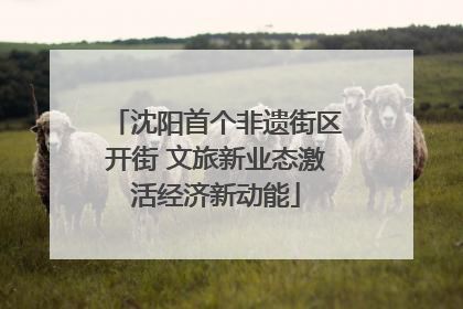 沈阳首个非遗街区开街 文旅新业态激活经济新动能