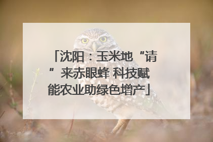沈阳：玉米地“请”来赤眼蜂 科技赋能农业助绿色增产