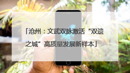 沧州：文武双脉激活“双遗之城”高质量发展新样本