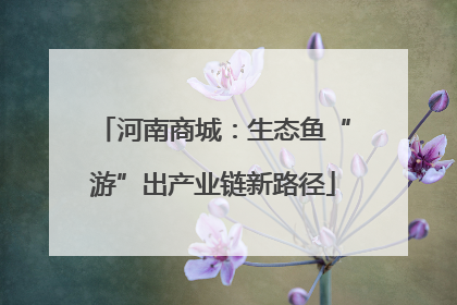 河南商城：生态鱼“游”出产业链新路径