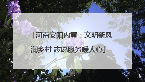 河南安阳内黄：文明新风润乡村 志愿服务暖人心