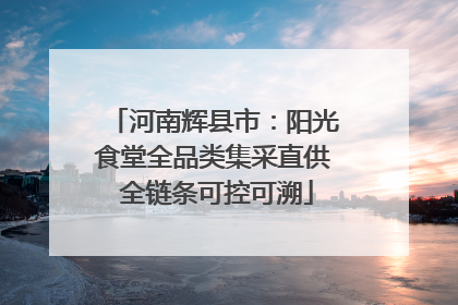 河南辉县市：阳光食堂全品类集采直供 全链条可控可溯