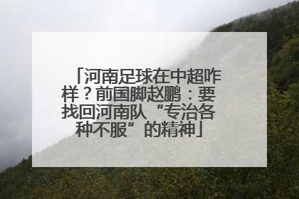 河南足球在中超咋样？前国脚赵鹏：要找回河南队“专治各种不服”的精神