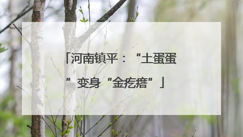 河南镇平：“土蛋蛋”变身“金疙瘩”