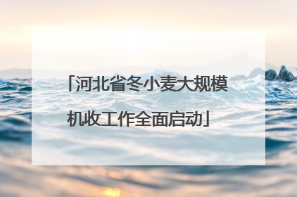 河北省冬小麦大规模机收工作全面启动