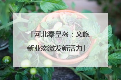 河北秦皇岛：文旅新业态激发新活力