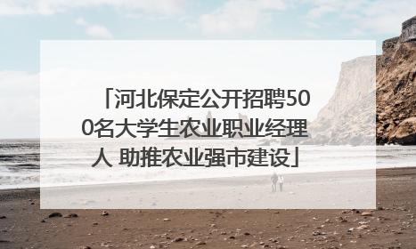 河北保定公开招聘500名大学生农业职业经理人 助推农业强市建设