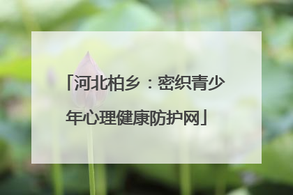 河北柏乡：密织青少年心理健康防护网