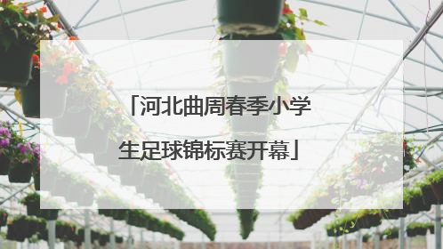 河北曲周春季小学生足球锦标赛开幕
