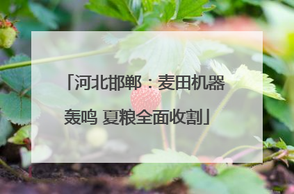 河北邯郸：麦田机器轰鸣 夏粮全面收割
