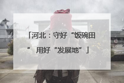 河北：守好“饭碗田” 用好“发展地”