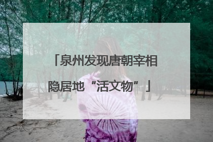 泉州发现唐朝宰相隐居地“活文物”