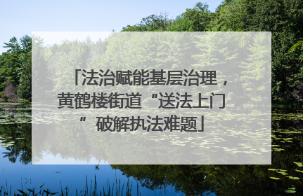法治赋能基层治理，黄鹤楼街道“送法上门”破解执法难题