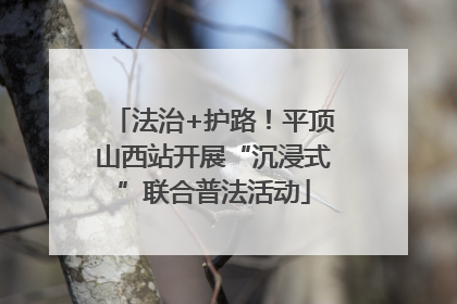 法治+护路！平顶山西站开展“沉浸式”联合普法活动