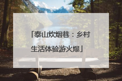 泰山炊烟巷：乡村生活体验游火爆