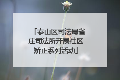 泰山区司法局省庄司法所开展社区矫正系列活动