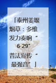 泰州姜堰烟草：多维发力奏响“6·29”普法宣传“最强音”