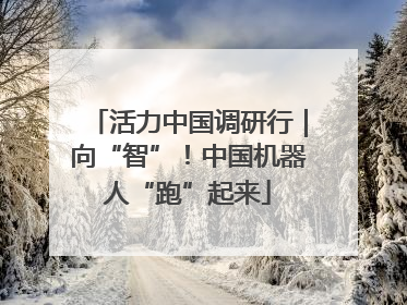 活力中国调研行｜向“智”！中国机器人“跑”起来