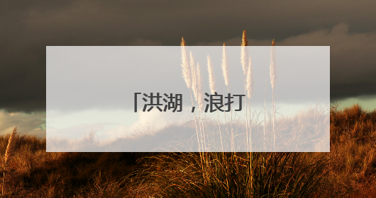 洪湖，浪打浪里万象新