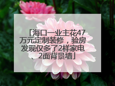 海口一业主花47万元定制装修，验房发现仅多了2样家电、2面背景墙