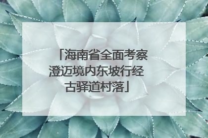 海南省全面考察澄迈境内东坡行经古驿道村落